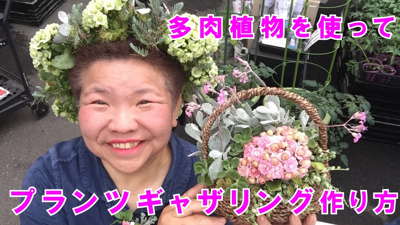 Download カランコエを使って多肉植物の寄せ Download カランコエを使って多肉植物の寄せ