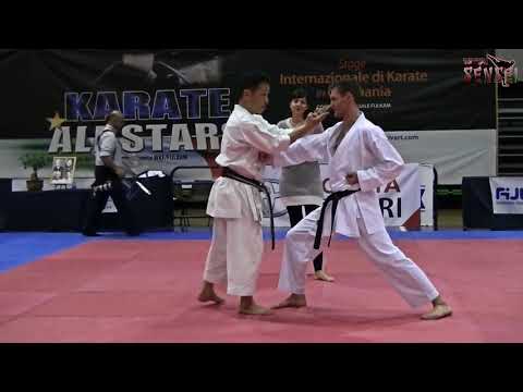 Hasegawa Yukimitsu teaching kata Annan (Ryuei ryu) + bunkai