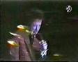 PiL LIVE IN LA 1984 BAD LIFE