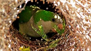 NMSU Students Get Creative with Research Funding