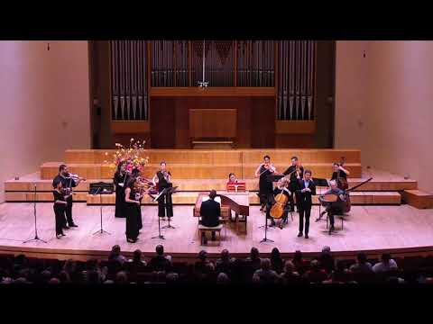 Alto Giove (by N. Porpora) - Philipp Mathmann - Camerata Tinta Barocca (live 2019)