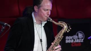 Lo v gorp distracted