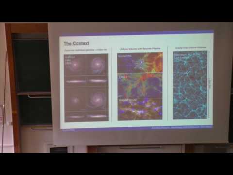 Pillepich:  Introducing IllustrisTNG (The Next Generation)