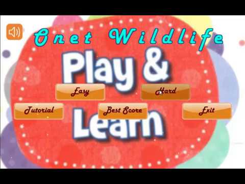 Onet Wildlife Video