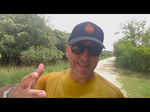 Ritrova il Tuo Potere: Le Due Domande che Trasformano la Tua Vita, vivi la tua migliore realtà