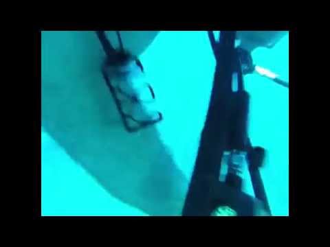 Black grouper double tap