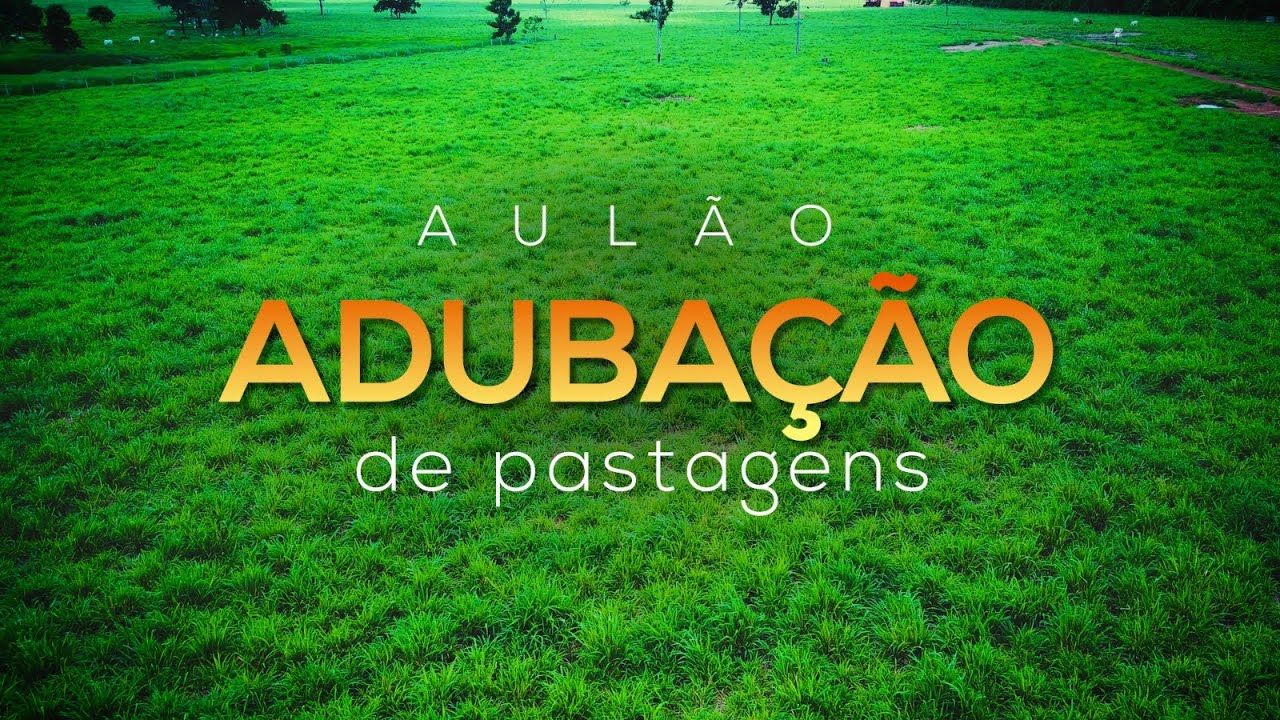 Aulão de ADUBAÇÃO DE PASTAGENS #pecuária