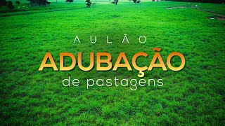 Aulão de ADUBAÇÃO DE PASTAGENS #pecuária
