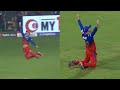 TOP 5 Catches in Cricket 2024