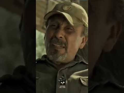 El infierno (2010) los reyes del norte "#youtubeshorts #el cochiloco