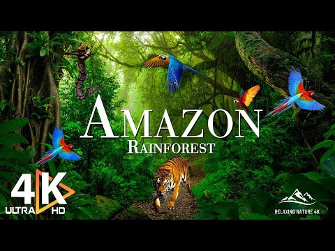 AMAZON 4K - The World's Largest Tropical Rainforest | Relaxing Music With Beautiful Nature Scenes