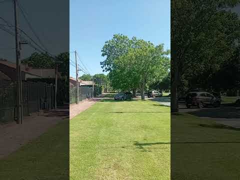 El residencial barrio de Punta Gorda en Montevideo Uruguay #uruguay