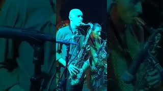 Download lagu Roy ellis live Skinhead dem a come‼️#shorts mp3