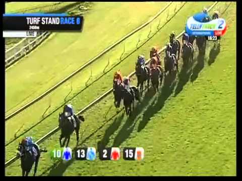 2015.04.25 SA Derby - Legal Eagle