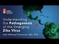 Understanding the Pathogenesis of the Emerging Zika Virus with Michael Diamond, MD, PhD