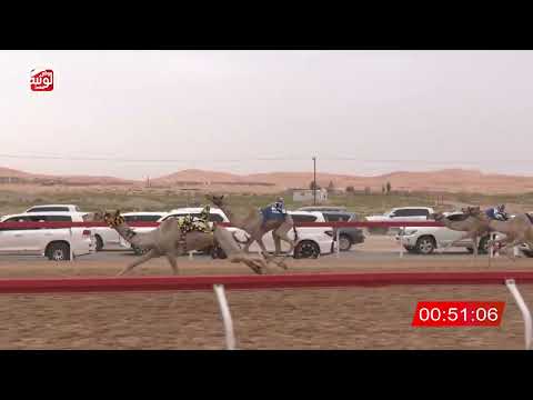  ش 2 (لعوب) لـ عبيد سعيد بن ظافي العامري 2:14 , شارة الصندوق 2026/04/11 فطامين الساد