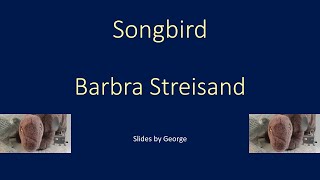 Barbra Streisand   Songbird  KARAOKE