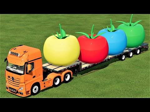 TRANSPORTING OF COLORS ! GIANT TOMATOES LOADING ON LOW LOADER w JOHN DEERE ! Farming Simulator 22