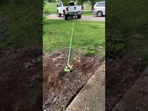 Pulling out a root with my truck! #dslawnandlandscape #lawncare #lawncarebusiness #landscapework #fy
