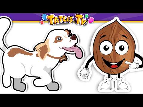 Köpeğim Hav Hav Der · Pazara Gidelim · Ceviz Adam Şip Şap Şop · 3 Şarkı · Tatlış Tv