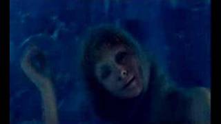 najwa nimri - following the dolphins