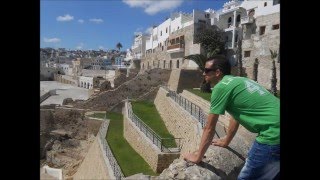 Count 'Em  -  "Swing Ambassadors" Septet