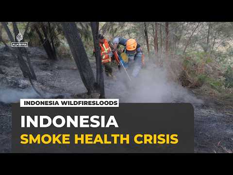 Indonesia wildfires send millions into health crisis as smoke blankets communities