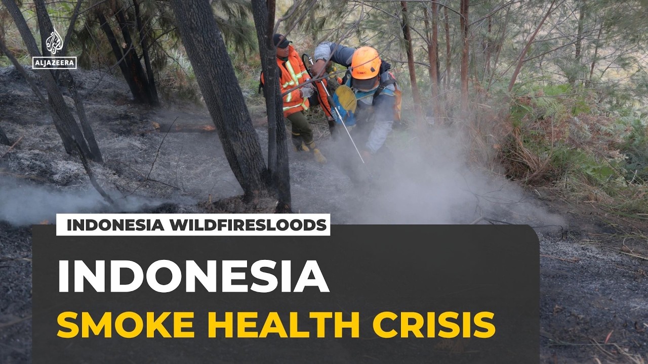 Indonesia wildfires send millions into health crisis as smoke blankets communities