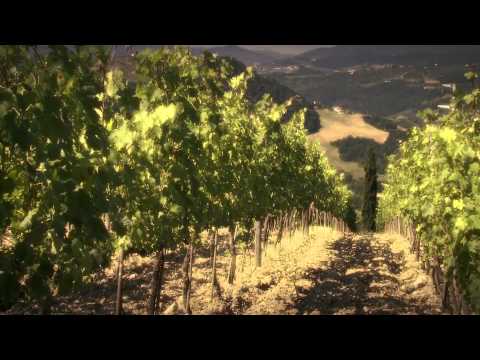 Mormoreto 2012 - Marchesi de' Frescobaldi wines