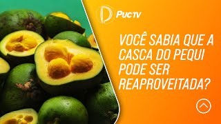 Miniatura do vídeo