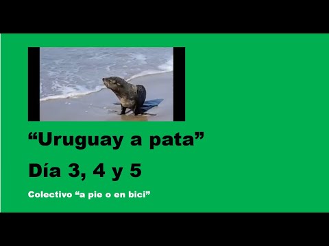“Rocha a pata” (Día 3, 4 y 5 de “Uruguay a pata”) en fotos y vídeos.