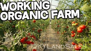 Organic Farm Sustainable Farming Danville Kentucky homes and land