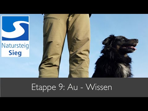 Natursteig Sieg mit Hund - Etappe 9: Von Au nach Wissen