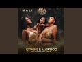 Q Twins Mawhoo Imali Official Audio Feat Exclusive Drumz Tee Jay