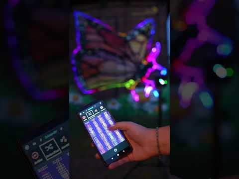 Laser mapping turns a butterfly mural into a living masterpiece #lasercube #laserart #mural #mapping