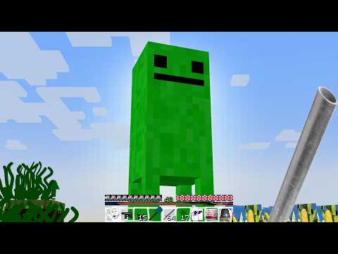 I let 1000 modders remake Minecraft