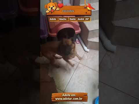 Vídeo de Hercules