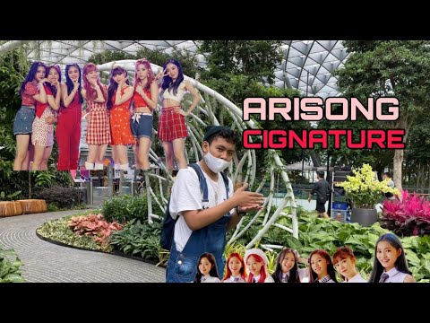 Cignature (시그니처)- Arisong 아리송 Dance cover💖