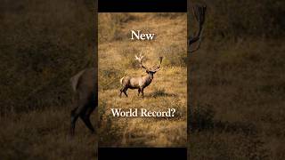 Giant Maral Bull downed - new Worldrecord? #hunting #elk #deer #maral #hunter #trophy #worldrecord