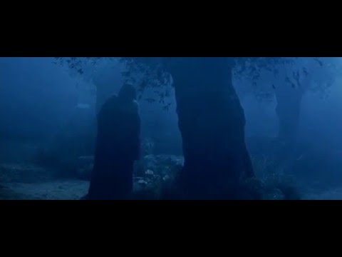 The Passion of the Christ The Christ Prayer in the Garden of Gethsemane