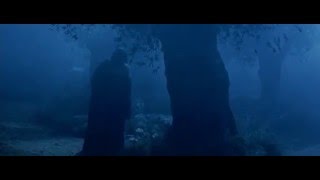 The Passion of the Christ The Christ Prayer in the Garden of Gethsemane