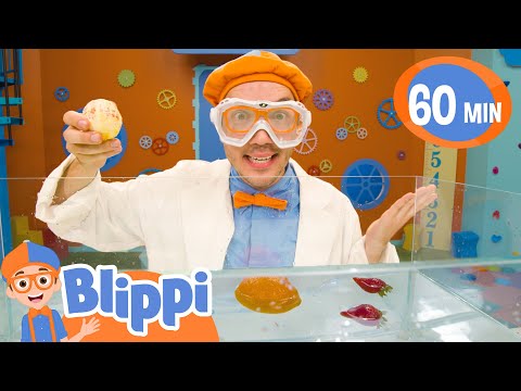 Blippi Plays Sink or Float with Oranges from an Orange Farm! | Moonbug Kids - Fun Stories and Colors