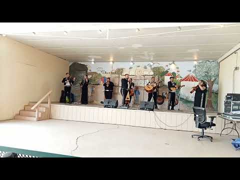 Tragos De Amargo Licor - Canciones de Mariachi