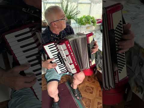 Weltmeister Amigo accordion, 80 Bass, 3 voices, 5+3 registers, Germany accordion, 3/4 accordion,SALE