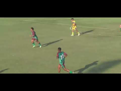 Paulista Cup