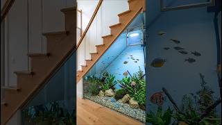 We Built a Giant Aquarium Under the Stairs