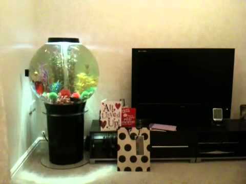 Watch Video on YouTube