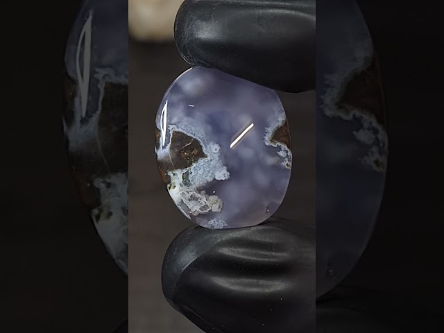 مصور رأس سمكة حجر عقيق خرائطي طبيعي