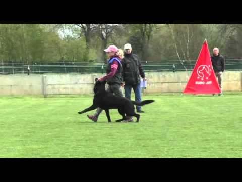 Ackey Levemar IPO3 B-93