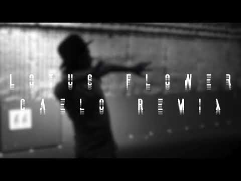 Radiohead - Lotus Flower (Caelo Remix)